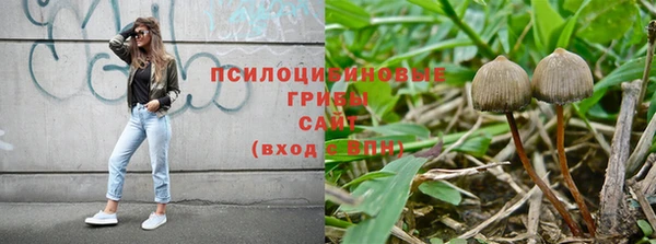 2c-b Балабаново
